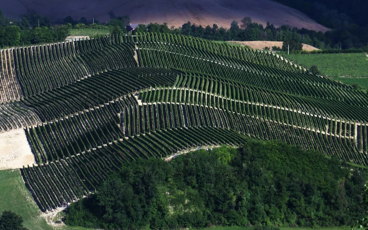 Piemonte Sud-Est